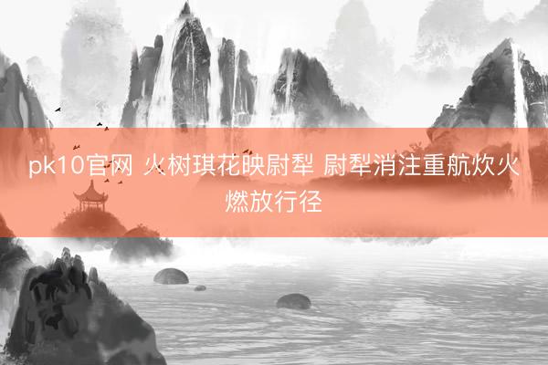 pk10官网 火树琪花映尉犁 尉犁消注重航炊火燃放行径